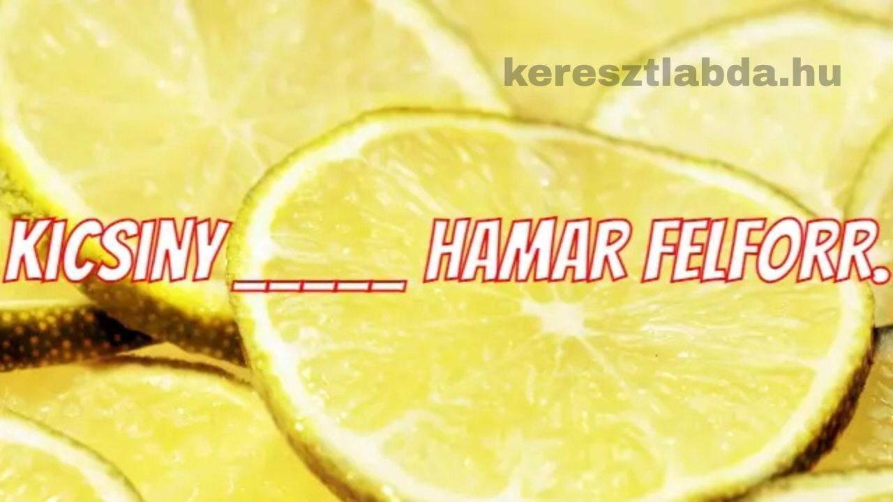 napi közmondás feladat