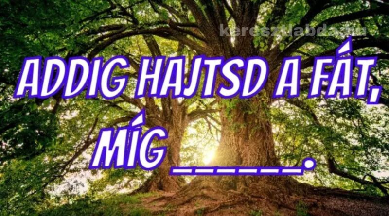 közmondás feladat