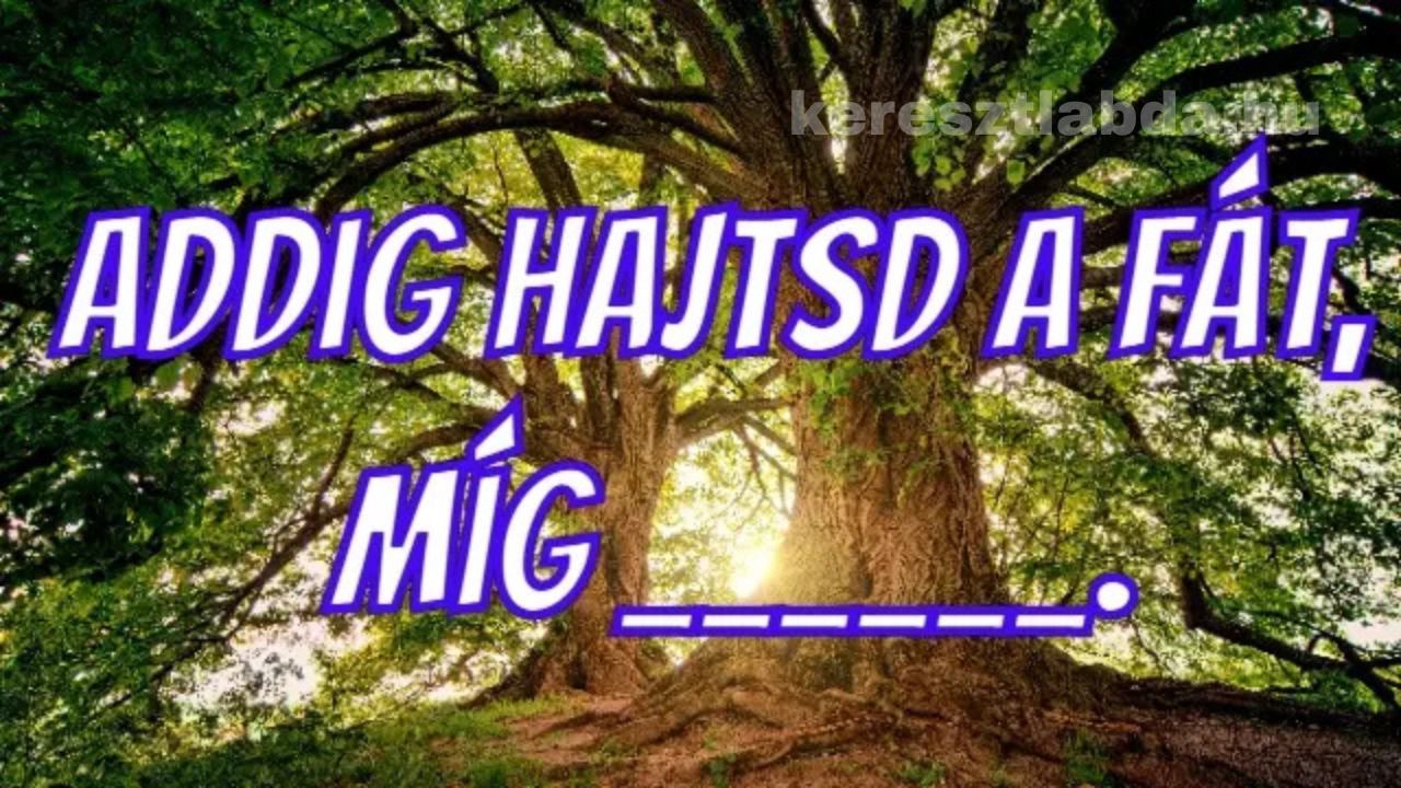 közmondás feladat