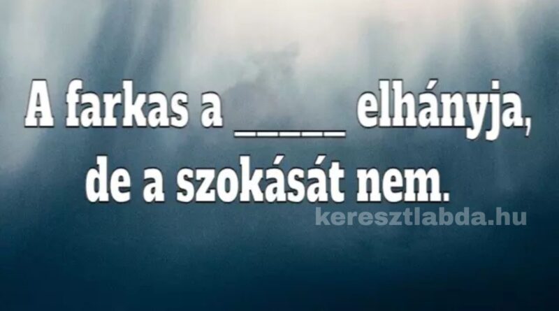közmondás feladat