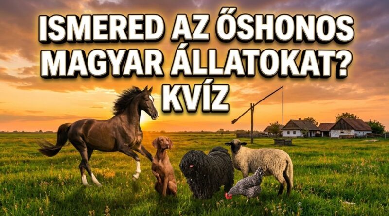 őshonos magyar állatok kvíz