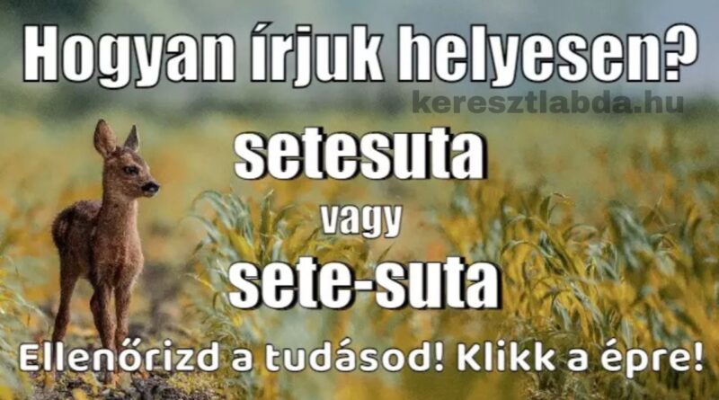 helyesírás feladat