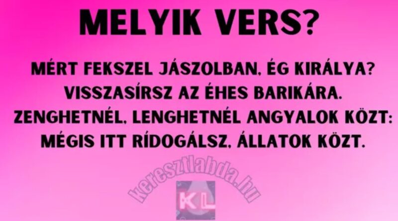 napi irodalom feladat