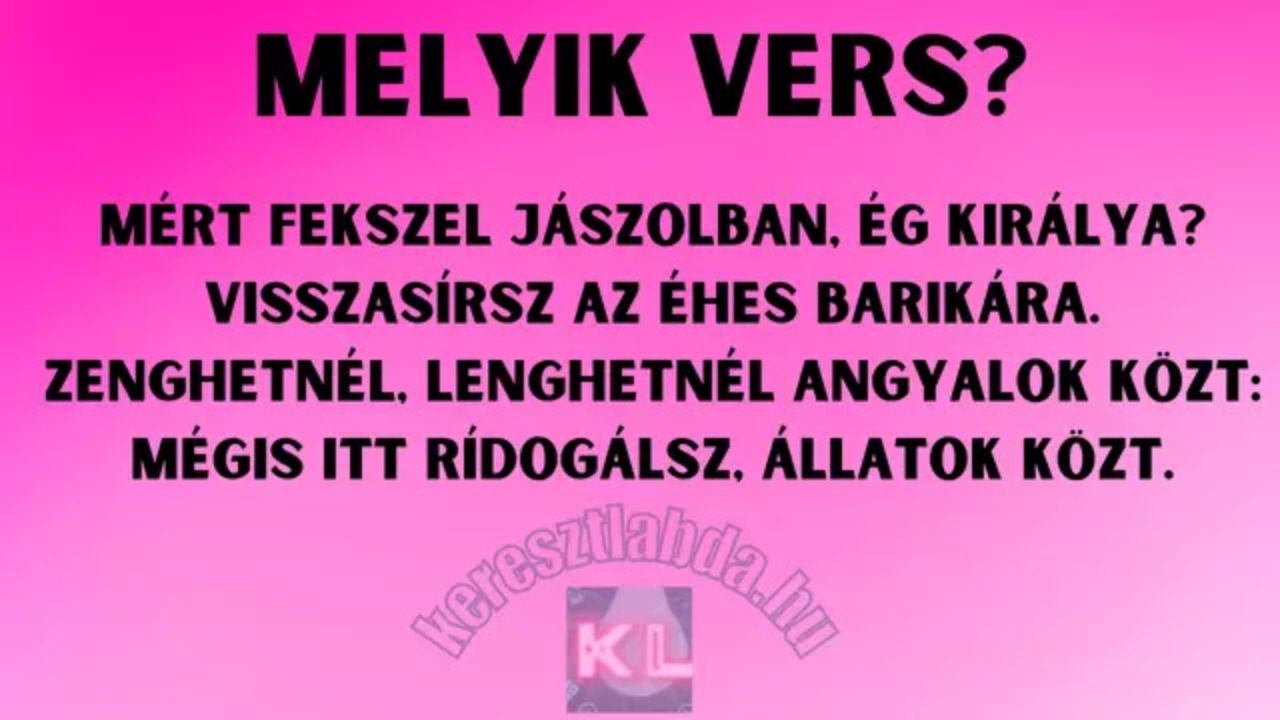 napi irodalom feladat