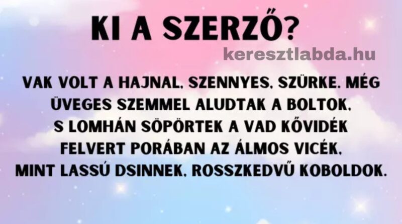 napi irodalom feladat