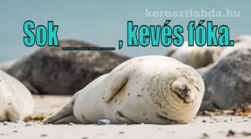 közmondás feladat