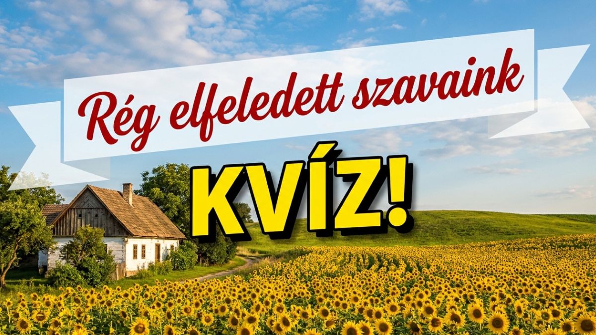 régi szavak kvíz