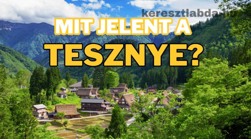 tájszólás feladat