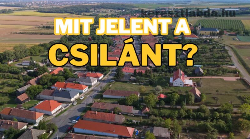 tájszólás