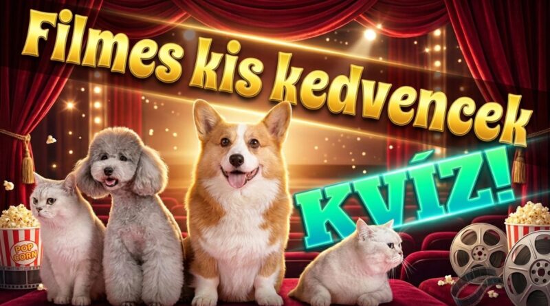 filmes kis kedvencek kvíz
