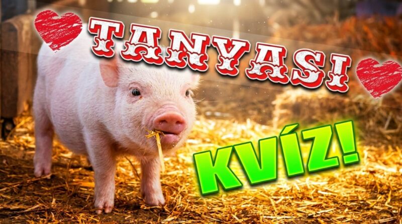 háztáji állatok kvíz