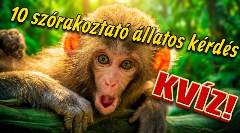 szórakoztató állatos tudáspróba kvíz