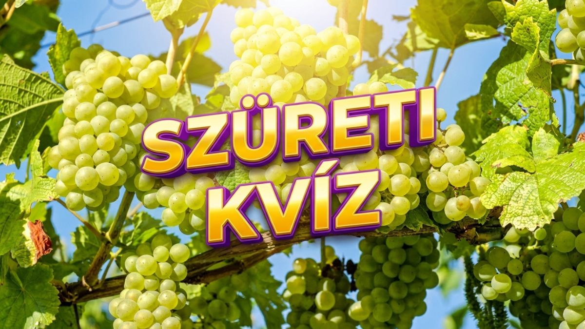 szüreti kvíz