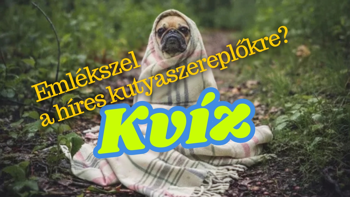 kutyaszereplők kvíz