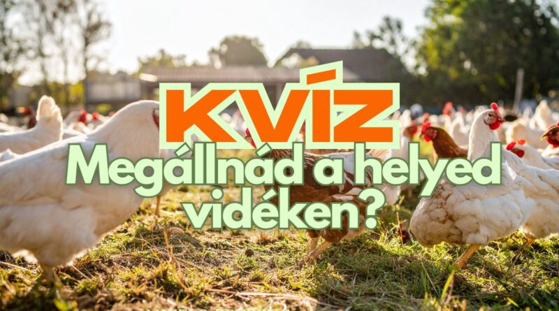 Megállnád a helyed vidéken kvíz