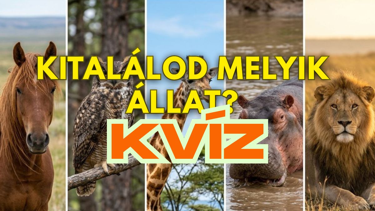 állatos tudáspróba kvíz
