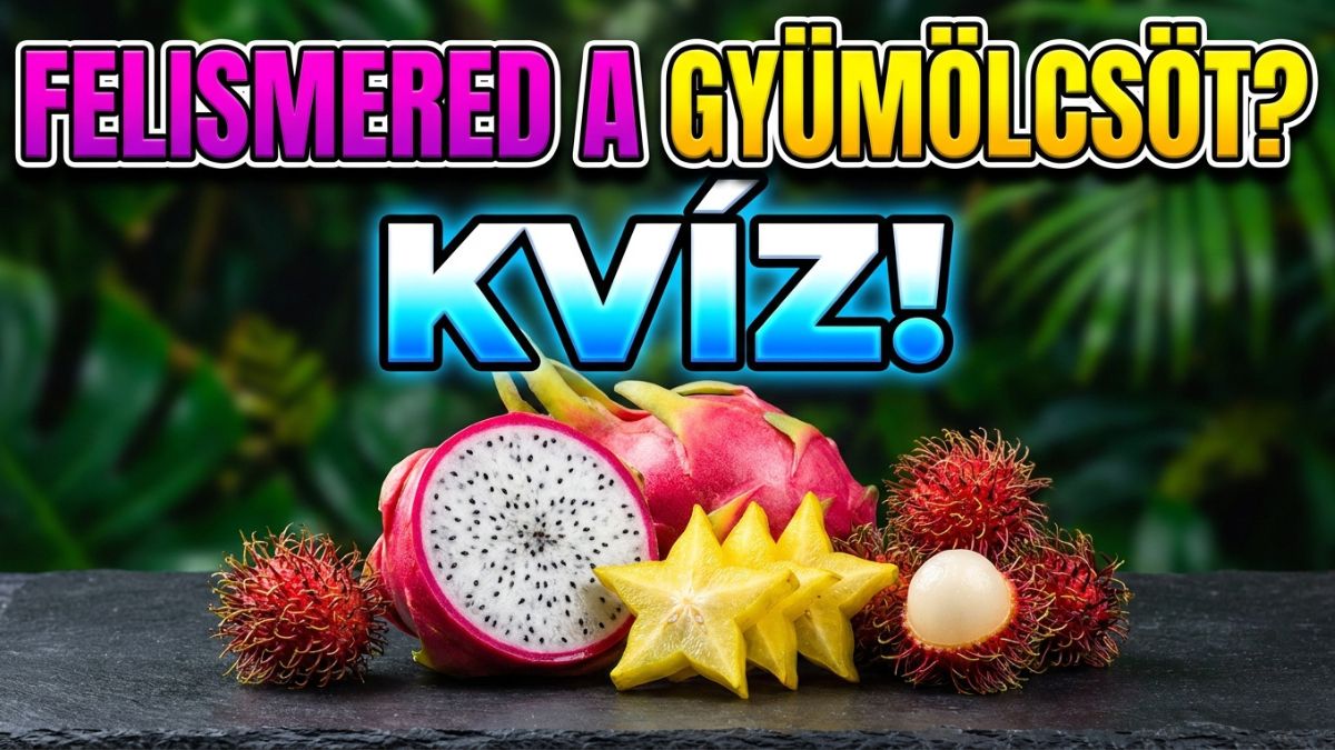 gyümölcs gasztronómia kvíz