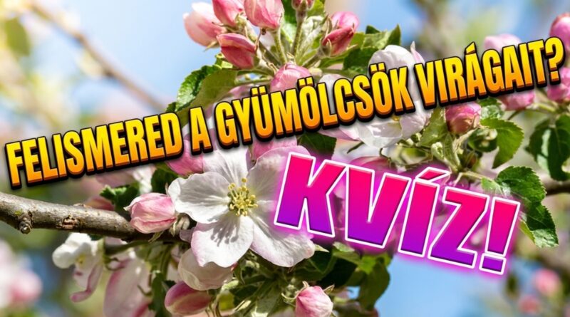 gyümölcsök virágai kvíz