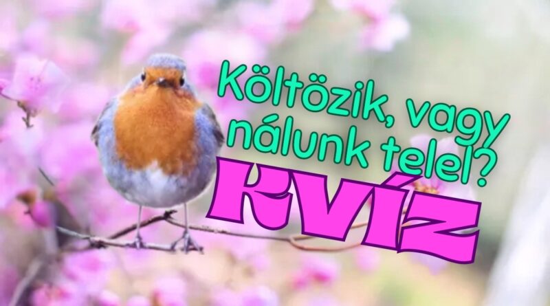 költöző madarak kvíz
