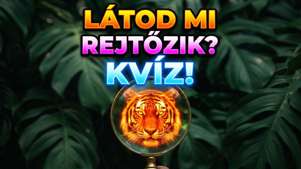 látod mi rejtőzik szemteszt kvíz