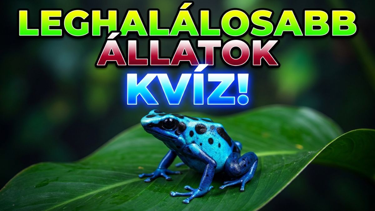 legveszélyesebb állatok kvíz