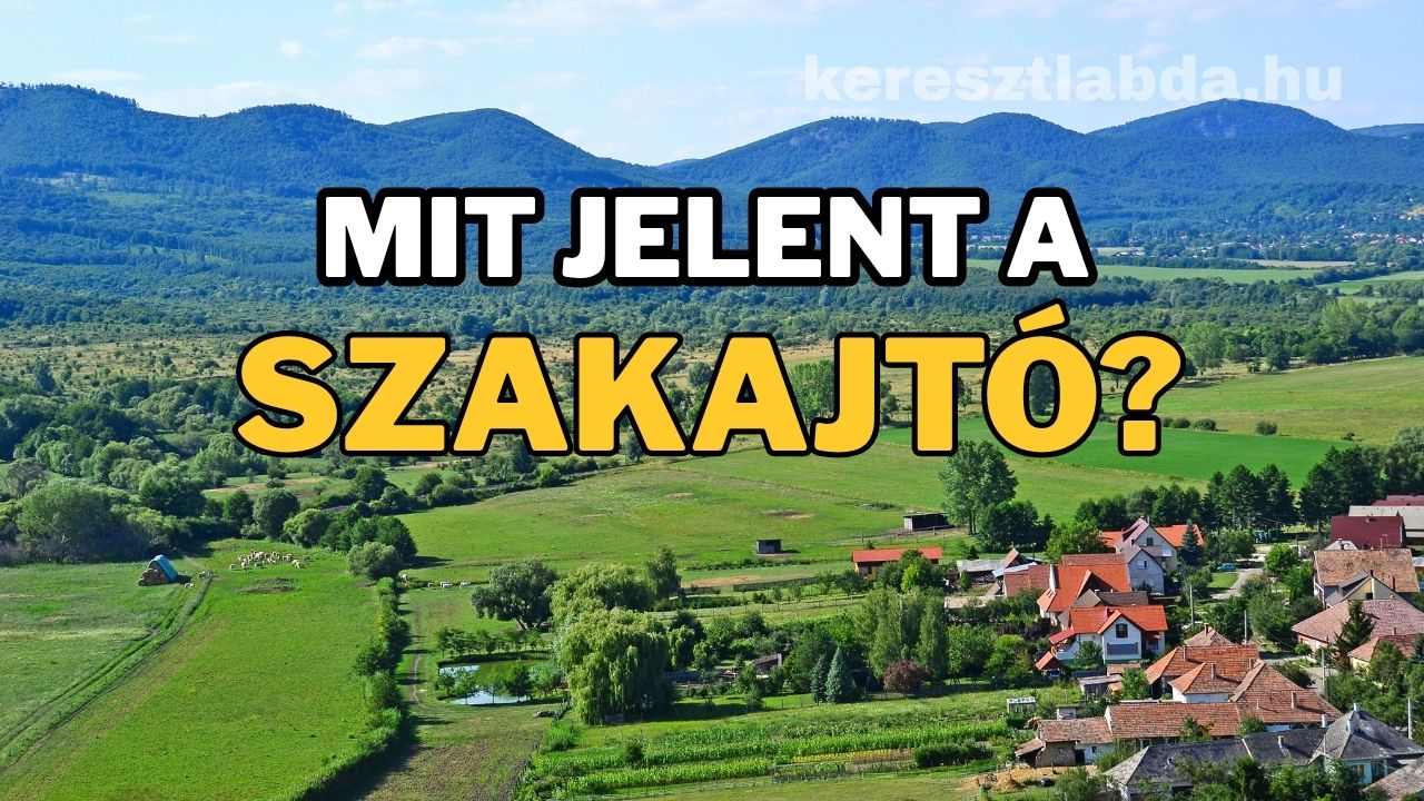 tájszólás feladat