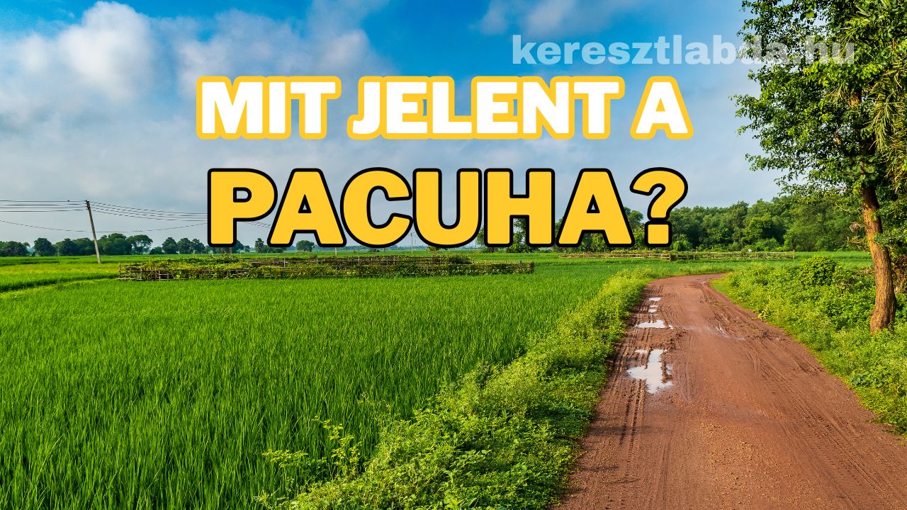 tájszólás feladat