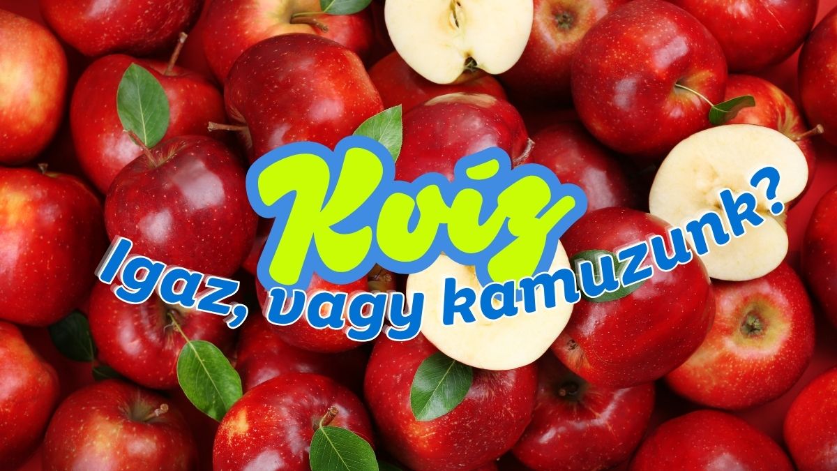 igaz vagy hamis gasztro kvíz