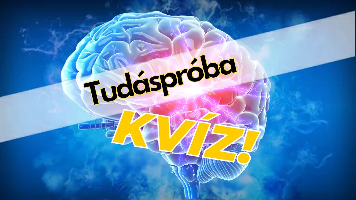 nagy sándor. billiárd tudáspróba kvíz