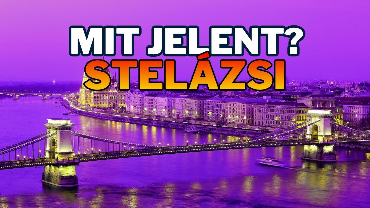 Tájszólás feladat: mit jelent a stelázsi szó