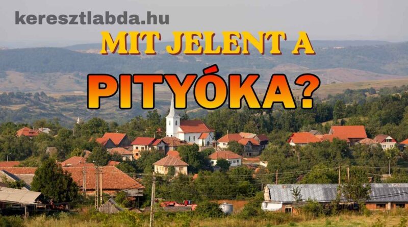 tájszólás feladat