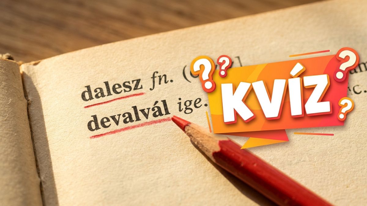 Dalesz drabális delikvens idegen szavak kvíz