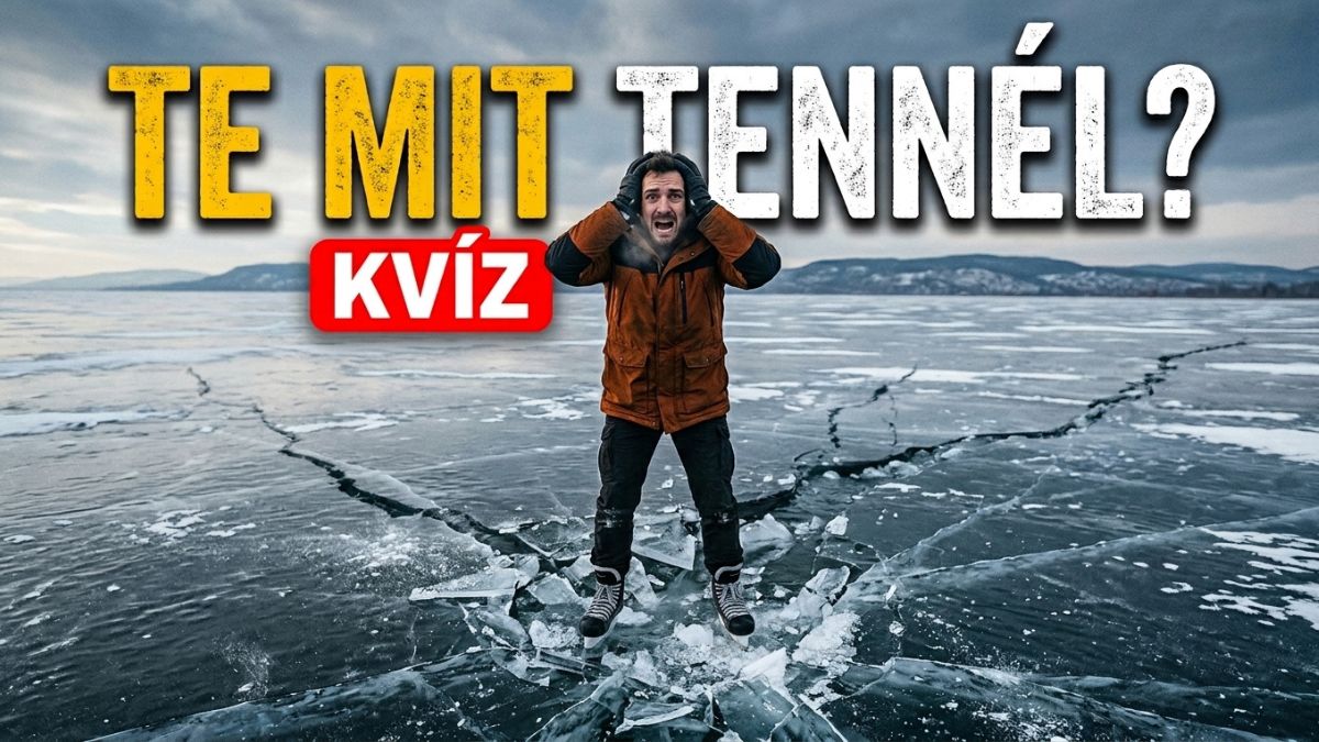 beszakad a jég, cápatámadás túlélős kvíz