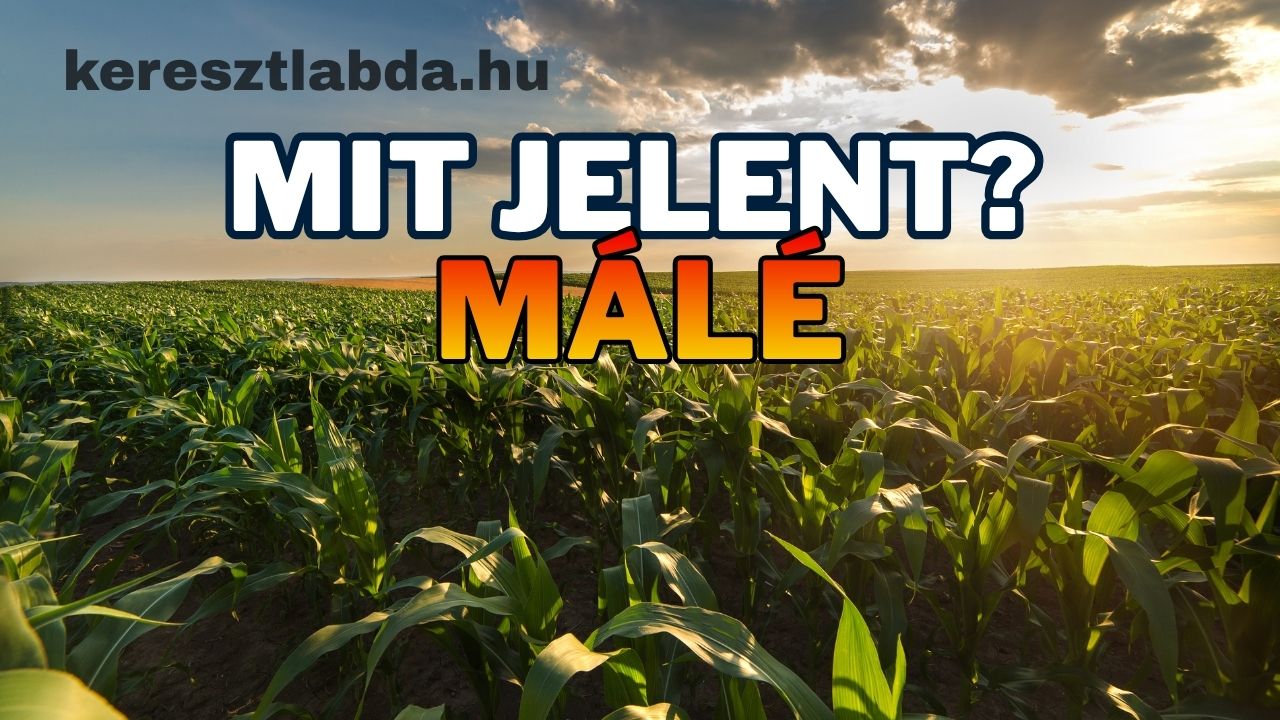 Naplementés vidéki táj, rajta a felirat: Mit jelent? Málé. Tájszólás feladat a keresztlabda.hu oldalon