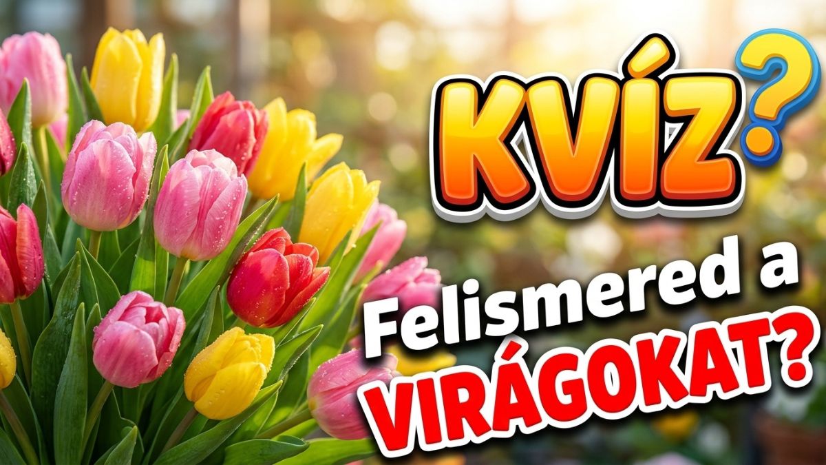 ibolya vagy azalea viragfelismerő kvíz