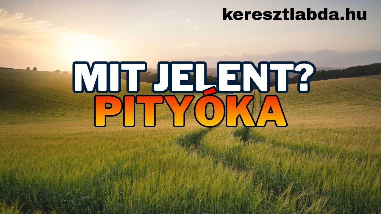 Tájszólás feladat: mit jelent a pityóka szó a magyar tájnyelvben