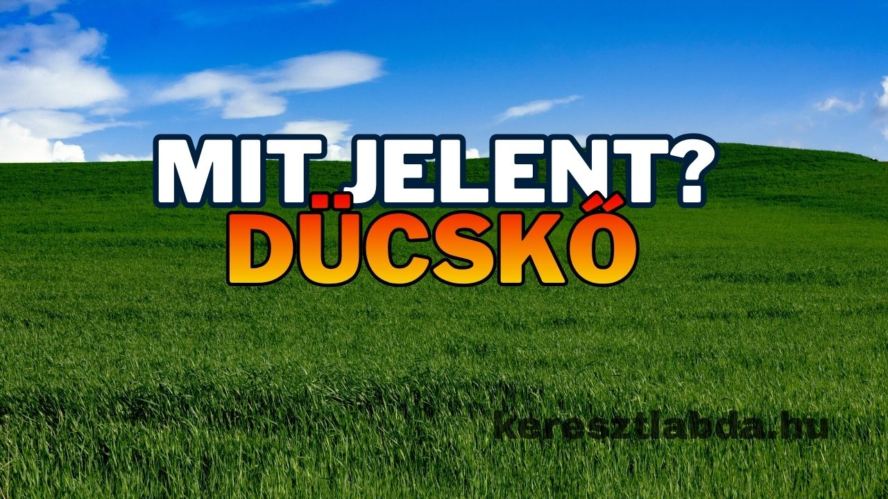 Tájszólás feladat: mit jelent a dücskő, három válaszlehetőséggel