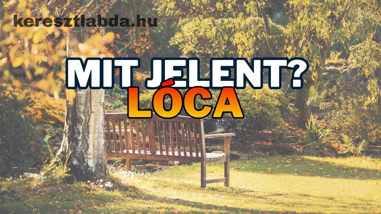 Őszi parkrészlet a lóca szó jelentését kérdező felirattal tájszólás