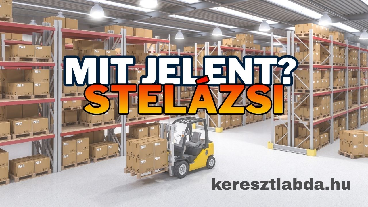 Tájszólás feladat négy válaszlehetőséggel a stelázsi szó jelentéséről
