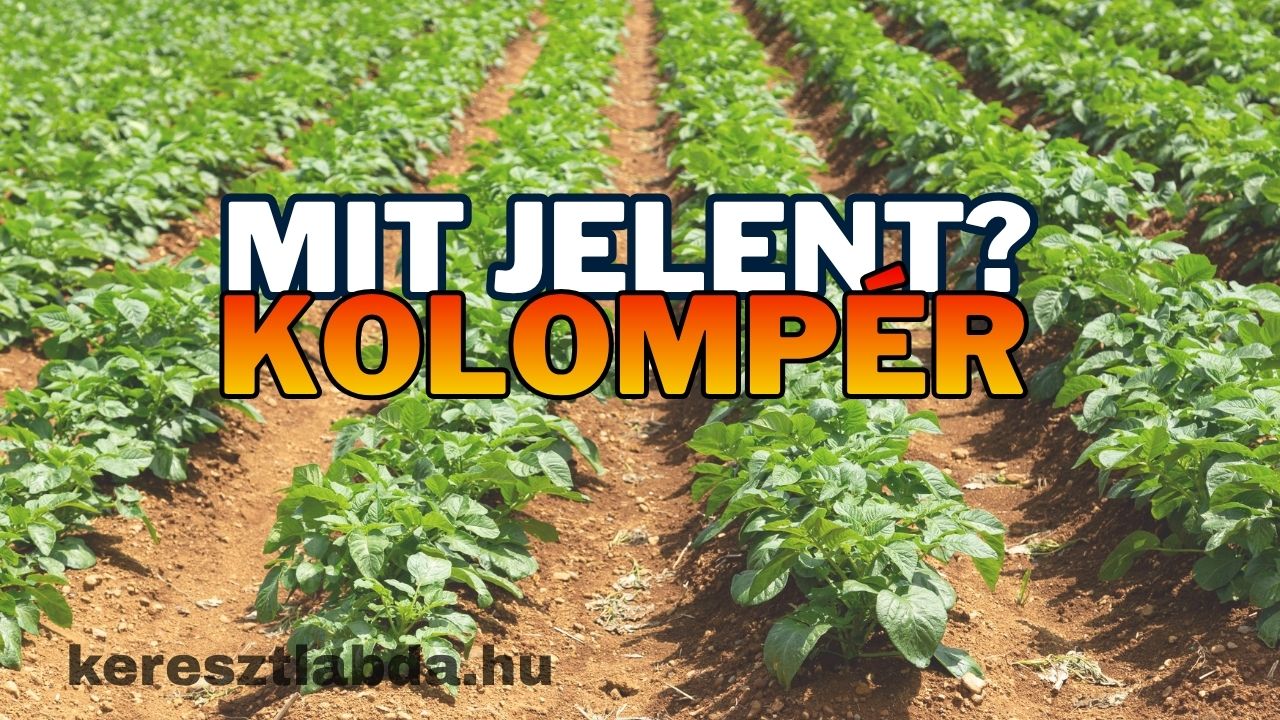 Kolompér tájszólás feladat, három válaszlehetőség közül kell kiválasztani a régi szó jelentését