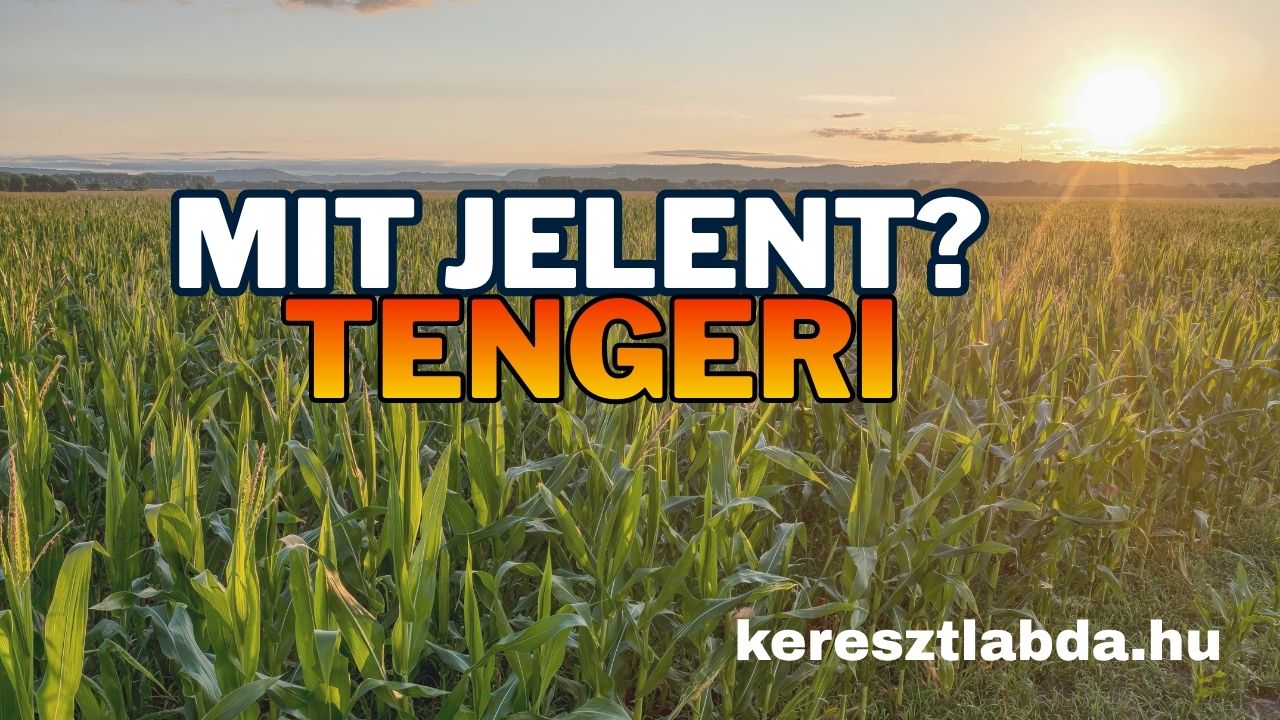 Tájszólás feladat: a tengeri szó népi jelentése három válaszlehetőséggel