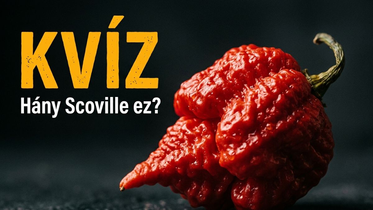 Carolina Reaper, Naga Viper, Ghost Pepper: tíz paprika, tíz Scoville érték. Ebben a kvízben megtippelheted, melyik mennyire csíp.