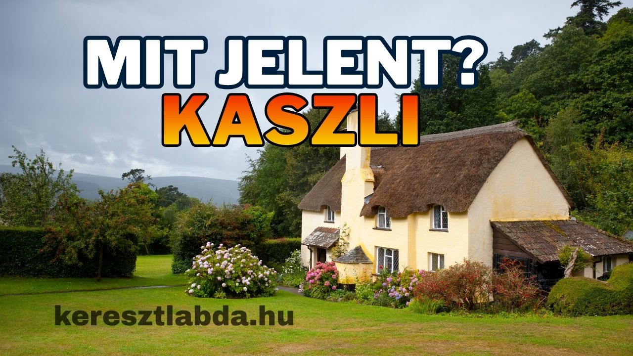 Tájszólás feladat a kaszli szó jelentéséről, három válaszlehetőséggel