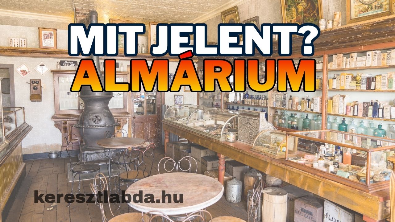 Tájszólás feladat az almárium szó jelentéséről, három válaszlehetőséggel