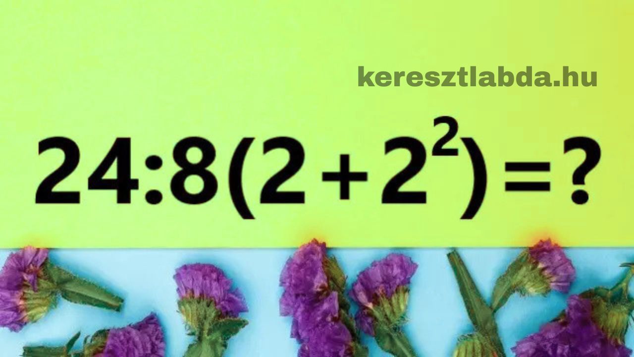 Matek feladat a műveleti sorrendről: 24:8(2+2²) zöld háttér előtt, lila virágokkal
